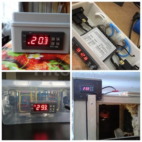 Regulator de temperatură, termostat cu 1 senzor, termoregulator 12V 10A