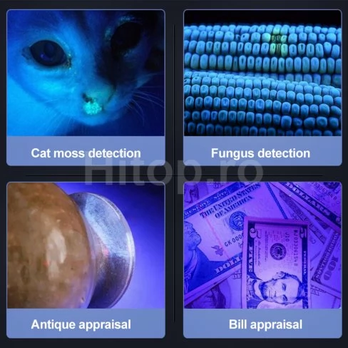 Lanternă de gheață UV cu lungimea de undă a luminii de 365nm pentru verificarea banilor de hârtie și a documentelor
